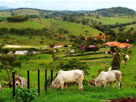 Pin de Luís Paulo Braga em Projeto EuFuturo | Paisagem rural, Lindas paisagens, Fotos de fazendas