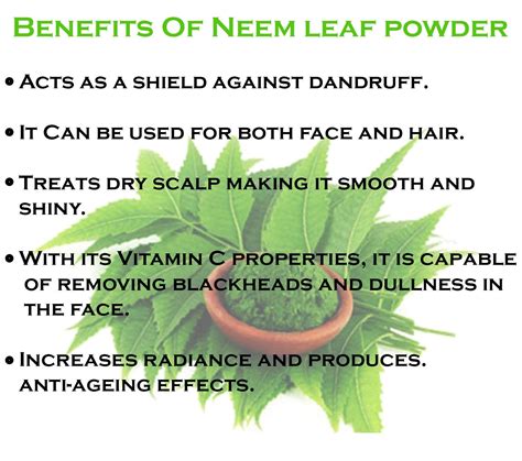 Exploring The Potential Of Neem Oil For Treating Alopecia – ArtOfBonsai.org