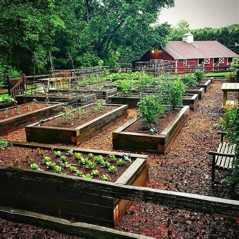 #30+ #Colorful #Vegetable #Garden #Design #Ideas - 30+ Colorful ...