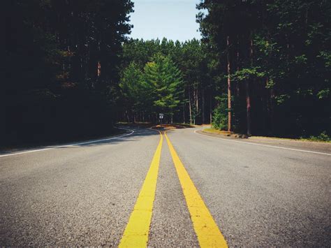 Yellow Straight Line Road Between Tall Trees · Free Stock Photo