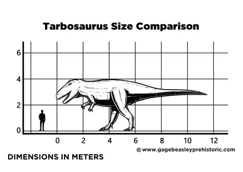 An Ultimate Guide to Tarbosaurus: The Alarming Lizard