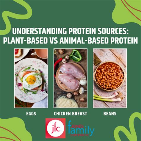 Understanding Protein Sources: Plant-based vs Animal-based Protein – Dr. Jason B. Jones ...