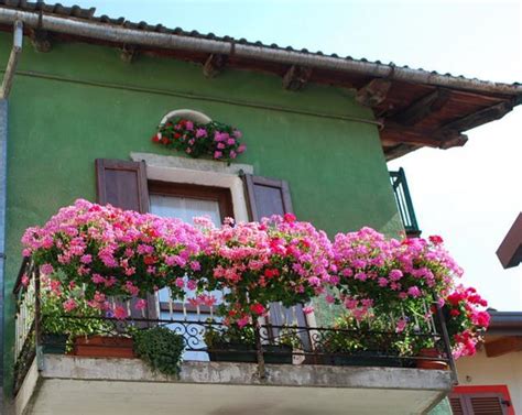 21 Green Ideas for Beautiful Balcony Decorating with Flowers