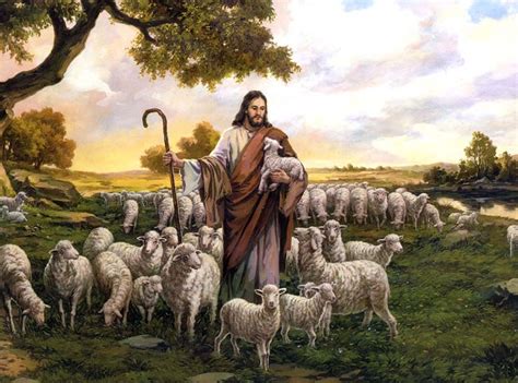 Lost Sheep | Christian Forums