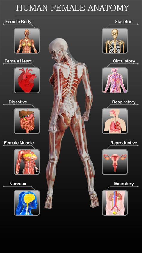 Female Anatomy 3D -Female Organs, Bones & Skeleton APK للاندرويد تنزيل