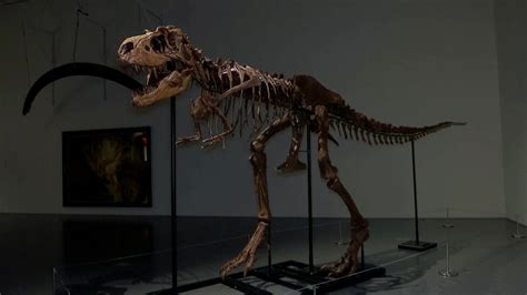 Un esqueleto de un dinosaurio similar al T. rex será subastado en Nueva York | Noticias ...