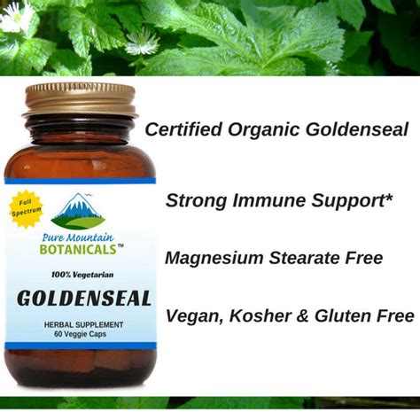 Looking for the Best Organic Goldenseal Root Capsules? – Pure Mountain Botanicals