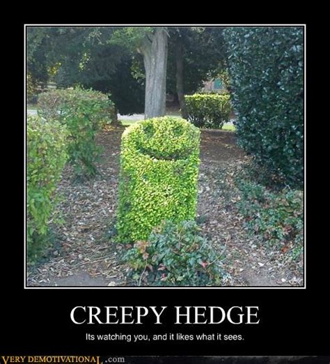 CREEPY HEDGE - Very Demotivational - Demotivational Posters | Very Demotivational | Funny ...