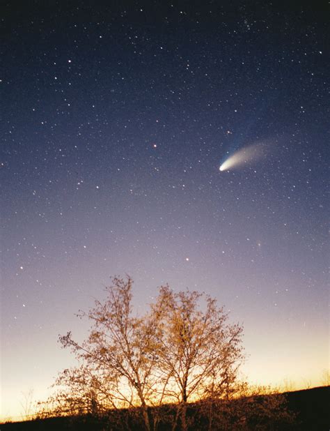 File:Comet-Hale-Bopp-29-03-1997 hires adj.jpg - Wikipedia, the free encyclopedia