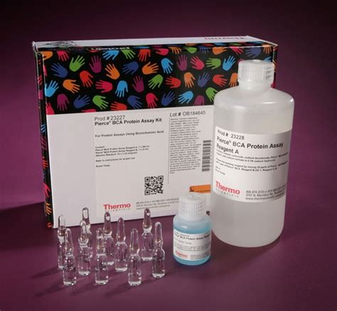 Thermo Scientific™ Pierce™ BCA Protein Assay Kits | Fisher Scientific