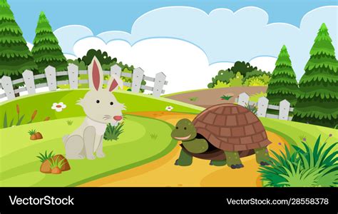 Tortoise And The Hare Clip Art