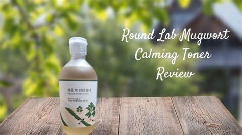 Round Lab Mugwort Calming Toner Review - Garden of Muses