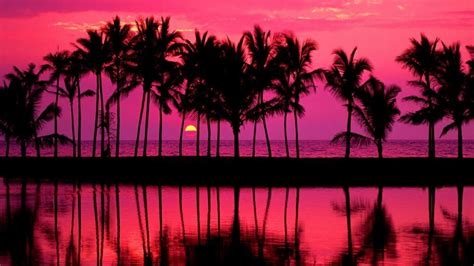 Hawaiian pink sunset over the beach - backiee