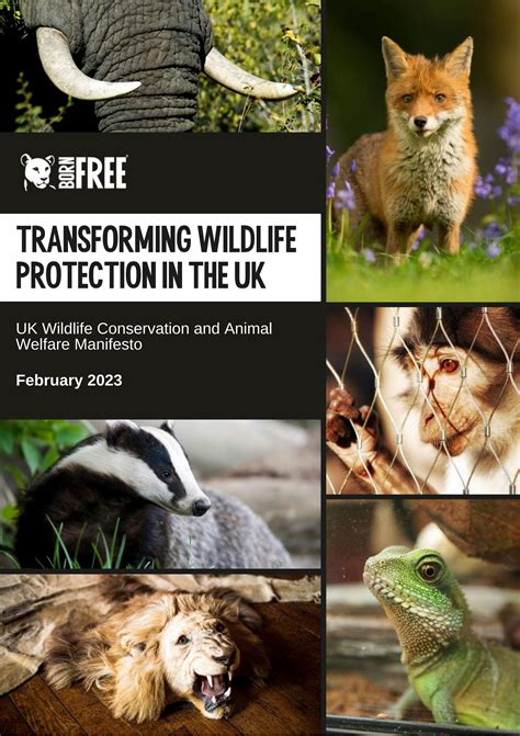 UK Wildlife Conservation and Animal Welfare Manifesto 2023 by BornFree ...