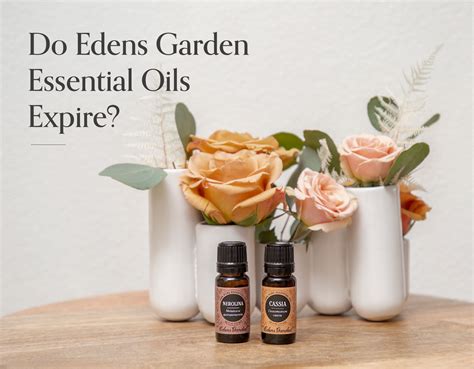 Do Edens Garden Essential Oils Expire? | Edens garden essential oils, Essential oils, Oils