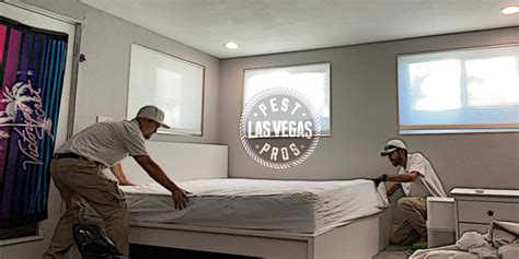 Bed Bugs Las Vegas