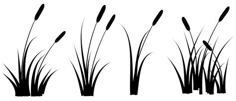 black reeds grass silhouette set. group cattail isolated on white background free 6758366 Vector ...