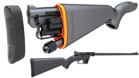 The Takedown Dilemma: Henry, Ruger or Marlin? | Prepper-Resources.com ...