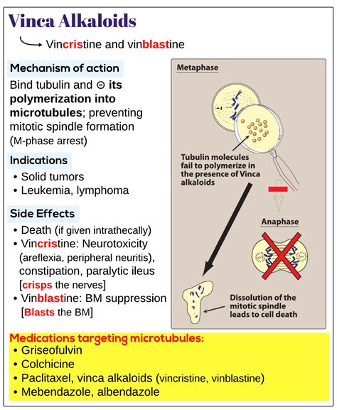 Vinca alkaloids - Medicine Keys for MRCPs