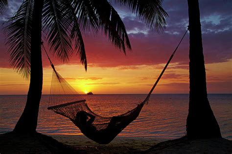 Hammock And Sunset, Plantation Island Photograph by David Wall - Pixels