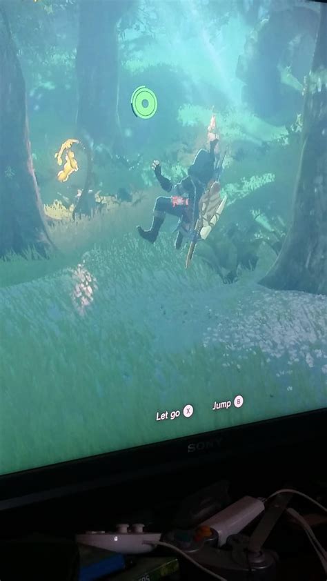 Love me some glitches in zelda : r/gaming