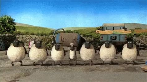 Sheeps Counting GIF - Sheeps Counting TapDance - Discover & Share GIFs