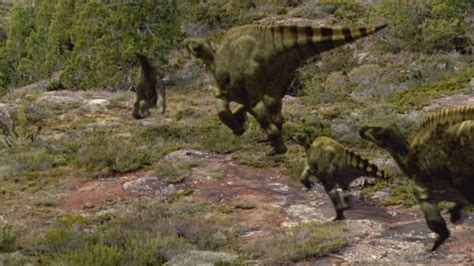 Iguanodon bernissartensis vs Tyrannosaurus rex (small adult) | The World of Animals