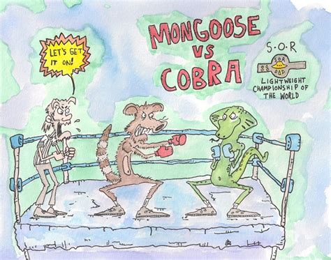 Mongoose vs Cobra – fylthy.com