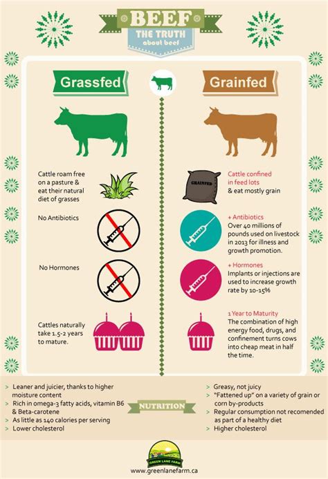 Grass Fed Vs Grain Fed Beef Nutrition - Beef Poster