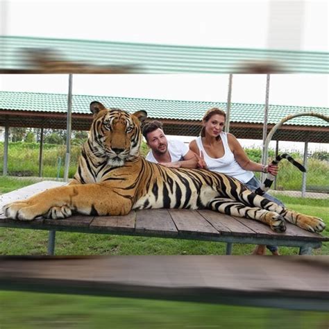 Tiger Tour from Bangkok