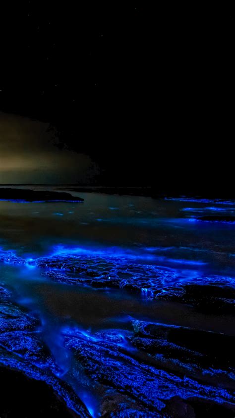 Bioluminescence [1440x2560] - Amoledbackgrounds Beautiful Places To Travel, Pretty Places, Sky ...