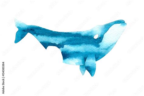 Watercolor sketch of right whale. Illustration isolated on white ...