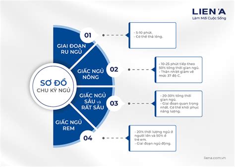 Giai Đoạn Ngủ REM Là Gì? Những Điều Bạn Chưa Biết Về Giai Đoạn Ngủ REM