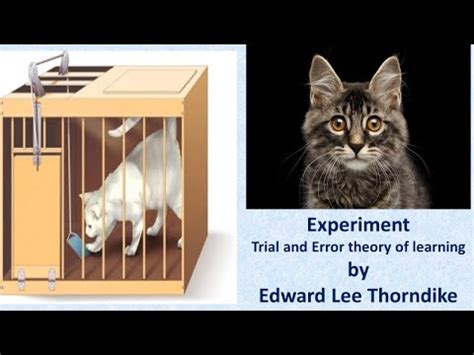 Trial and error theory experiment II cat experiment II Puzzle box by Thorndike - YouTube