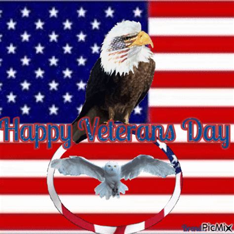 Owl And Eagle - Happy Veterans Day Pictures, Photos, and Images for ...