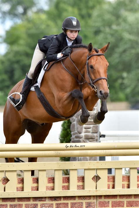 Hunters | EyeWasHere Horse Show Photography Hunters