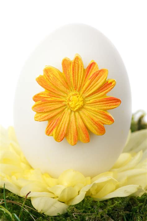 Decorated Easter Egg Free Stock Photo - Public Domain Pictures