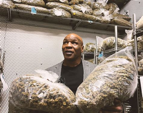 Mike Tyson selling edibles shaped like a chewed ear — and now you can ...