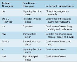 EXAMS AND ME : Oncogene