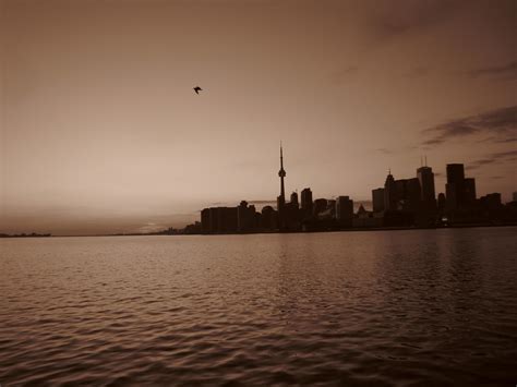 Toronto at sunset Free Photo Download | FreeImages