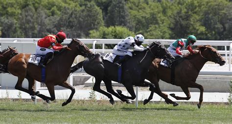 Arriba 73+ imagen como se llama donde salen los caballos en una carrera ...