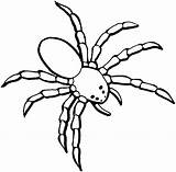 Spider Coloring Pages Printable sketch template