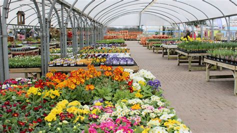 Horsham Garden Centre and Farm Shop | Hillier Garden Centres