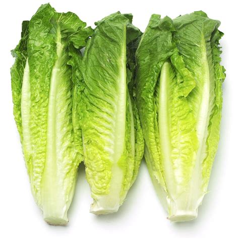 Lettuce Romaine Hearts 3 Pcs - Holy Land Grocery