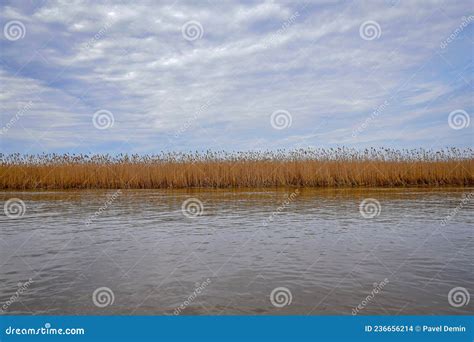 Volga Delta Nature Reserve, Astrakhan Region Stock Photo - Image of outdoors, astrakhan: 236656214