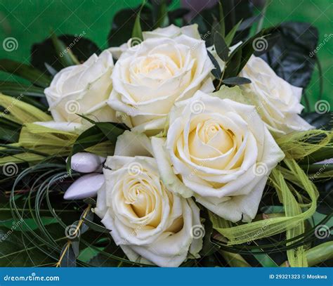 Arrangement with White Roses Stock Image - Image of summer, background: 29321323