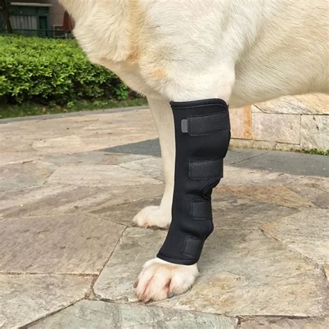 Dogs Injured Leg Protector Legguards Bandages Protect Pad Help Heal Wounds and Injury Rear Dog ...