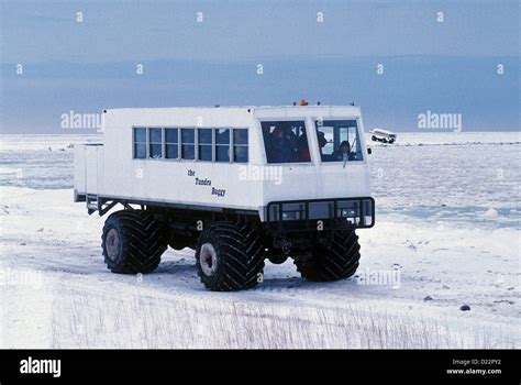 Tundra Buggy for viewing Polar Bears in the wild, Churchill, Manitoba, Canada. November Stock ...