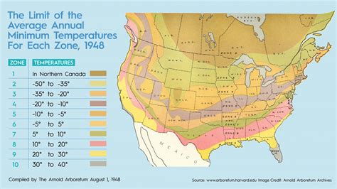 The Secret to Planting a Gorgeous Garden Is Knowing Your Hardiness Zone | When to plant garden ...