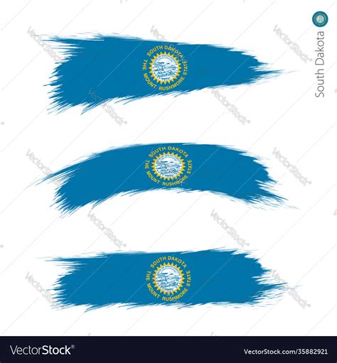 Set 3 grunge textured flag us state south Vector Image